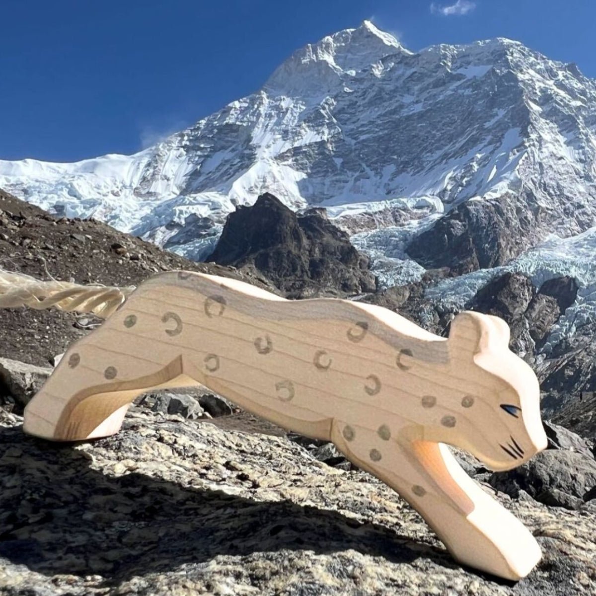 OSTHEIMER Snow Leopard
